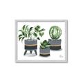 Picture of Plants in Grey vases _GroupedProduct_Rectangle_Landscape_Framed_Matted_