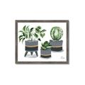 Picture of Plants in Grey vases _GroupedProduct_Rectangle_Landscape_Framed_Matted_