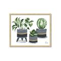 Picture of Plants in Grey vases _GroupedProduct_Rectangle_Landscape_Framed_Matted_