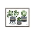 Picture of Plants in Grey vases _GroupedProduct_Rectangle_Landscape_Framed_Matted_