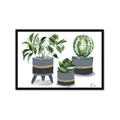 Picture of Plants in Grey vases _GroupedProduct_Rectangle_Landscape_Framed_Matted_