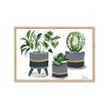 Picture of Plants in Grey vases _GroupedProduct_Rectangle_Landscape_Framed_Matted_