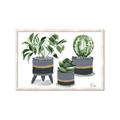 Picture of Plants in Grey vases _GroupedProduct_Rectangle_Landscape_Framed_Matted_