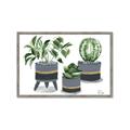 Picture of Plants in Grey vases _GroupedProduct_Rectangle_Landscape_Framed_Matted_