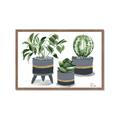 Picture of Plants in Grey vases _GroupedProduct_Rectangle_Landscape_Framed_Matted_