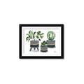 Picture of Plants in Grey vases _GroupedProduct_Rectangle_Landscape_Framed_Matted_