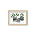 Picture of Plants in Grey vases _GroupedProduct_Rectangle_Landscape_Framed_Matted_
