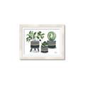 Picture of Plants in Grey vases _GroupedProduct_Rectangle_Landscape_Framed_Matted_