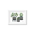 Picture of Plants in Grey vases _GroupedProduct_Rectangle_Landscape_Framed_Matted_