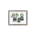 Picture of Plants in Grey vases _GroupedProduct_Rectangle_Landscape_Framed_Matted_