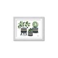Picture of Plants in Grey vases _GroupedProduct_Rectangle_Landscape_Framed_Matted_