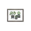 Picture of Plants in Grey vases _GroupedProduct_Rectangle_Landscape_Framed_Matted_