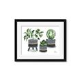 Picture of Plants in Grey vases _GroupedProduct_Rectangle_Landscape_Framed_Matted_