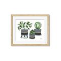 Picture of Plants in Grey vases _GroupedProduct_Rectangle_Landscape_Framed_Matted_