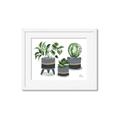 Picture of Plants in Grey vases _GroupedProduct_Rectangle_Landscape_Framed_Matted_