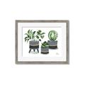 Picture of Plants in Grey vases _GroupedProduct_Rectangle_Landscape_Framed_Matted_