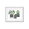 Picture of Plants in Grey vases _GroupedProduct_Rectangle_Landscape_Framed_Matted_