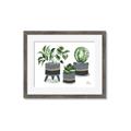Picture of Plants in Grey vases _GroupedProduct_Rectangle_Landscape_Framed_Matted_