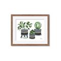Picture of Plants in Grey vases _GroupedProduct_Rectangle_Landscape_Framed_Matted_