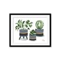 Picture of Plants in Grey vases _GroupedProduct_Rectangle_Landscape_Framed_Matted_