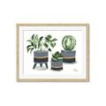 Picture of Plants in Grey vases _GroupedProduct_Rectangle_Landscape_Framed_Matted_