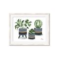 Picture of Plants in Grey vases _GroupedProduct_Rectangle_Landscape_Framed_Matted_