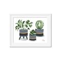 Picture of Plants in Grey vases _GroupedProduct_Rectangle_Landscape_Framed_Matted_