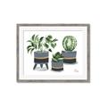 Picture of Plants in Grey vases _GroupedProduct_Rectangle_Landscape_Framed_Matted_