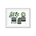 Picture of Plants in Grey vases _GroupedProduct_Rectangle_Landscape_Framed_Matted_