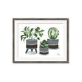 Picture of Plants in Grey vases _GroupedProduct_Rectangle_Landscape_Framed_Matted_
