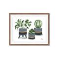 Picture of Plants in Grey vases _GroupedProduct_Rectangle_Landscape_Framed_Matted_