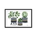 Picture of Plants in Grey vases _GroupedProduct_Rectangle_Landscape_Framed_Matted_