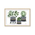 Picture of Plants in Grey vases _GroupedProduct_Rectangle_Landscape_Framed_Matted_