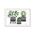 Picture of Plants in Grey vases _GroupedProduct_Rectangle_Landscape_Framed_Matted_