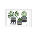 Picture of Plants in Grey vases _GroupedProduct_Rectangle_Landscape_Framed_Matted_