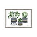 Picture of Plants in Grey vases _GroupedProduct_Rectangle_Landscape_Framed_Matted_