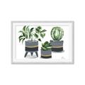 Picture of Plants in Grey vases _GroupedProduct_Rectangle_Landscape_Framed_Matted_