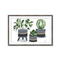 Picture of Plants in Grey vases _GroupedProduct_Rectangle_Landscape_Framed_Matted_