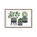 Picture of Plants in Grey vases _GroupedProduct_Rectangle_Landscape_Framed_Matted_