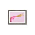 Picture of Confetti Gun _GroupedProduct_Rectangle_Landscape_Photography _GroupedProduct_Rectangle_Landscape_Framed_Matted_