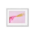 Picture of Confetti Gun _GroupedProduct_Rectangle_Landscape_Photography _GroupedProduct_Rectangle_Landscape_Framed_Matted_