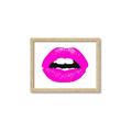 Picture of Fuchsia Frenzy _GroupedProduct_Rectangle_Landscape_Framed_Matted_
