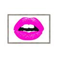 Picture of Fuchsia Frenzy _GroupedProduct_Rectangle_Landscape_Framed_Matted_