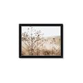 Picture of Neutral Grasses _GroupedProduct_Rectangle_Landscape_Photography _GroupedProduct_Rectangle_Landscape_Framed_Matted_
