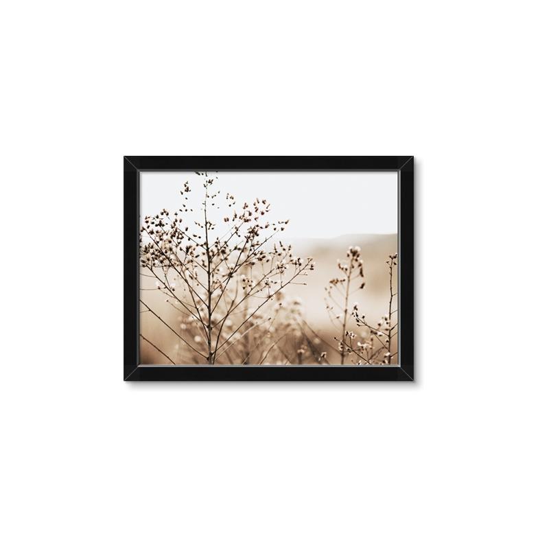 Picture of Neutral Grasses _GroupedProduct_Rectangle_Landscape_Photography _GroupedProduct_Rectangle_Landscape_Framed_Matted_