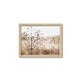 Picture of Neutral Grasses _GroupedProduct_Rectangle_Landscape_Photography _GroupedProduct_Rectangle_Landscape_Framed_Matted_