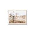 Picture of Neutral Grasses _GroupedProduct_Rectangle_Landscape_Photography _GroupedProduct_Rectangle_Landscape_Framed_Matted_