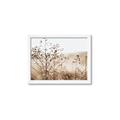 Picture of Neutral Grasses _GroupedProduct_Rectangle_Landscape_Photography _GroupedProduct_Rectangle_Landscape_Framed_Matted_