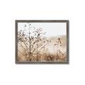 Picture of Neutral Grasses _GroupedProduct_Rectangle_Landscape_Photography _GroupedProduct_Rectangle_Landscape_Framed_Matted_