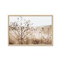 Picture of Neutral Grasses _GroupedProduct_Rectangle_Landscape_Photography _GroupedProduct_Rectangle_Landscape_Framed_Matted_